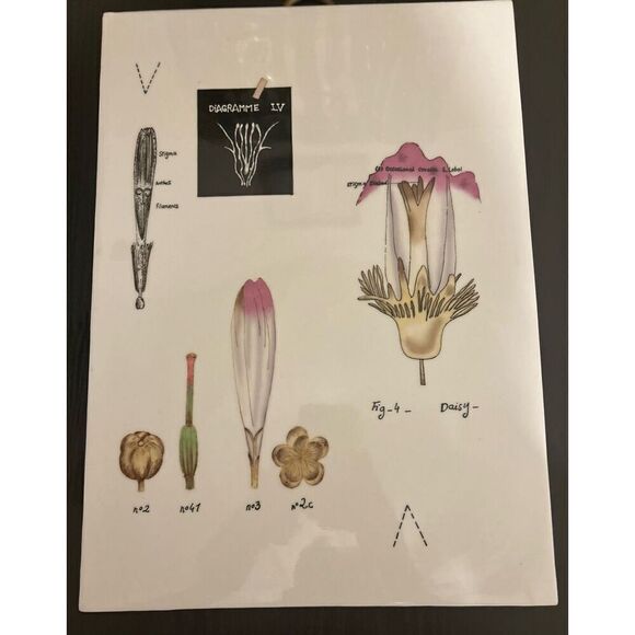 Botanical Wall Plaques Fabienne Jouvin - Picture 3 of 5